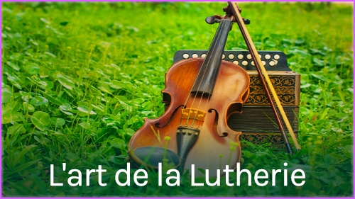 Violon