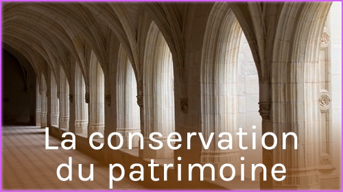 Vidéo La conservation du patrimoine